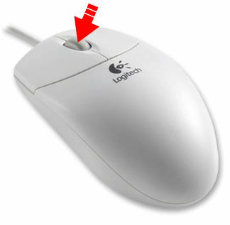 mouse-wheel-button.png